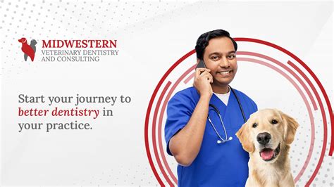 Contact Midwestern Veterinary Dentistry
