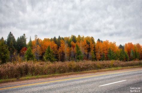 Fall Foliage In Quebéc Travel To Eat