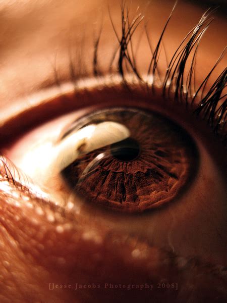 20 Great Close Up Photos Of Eyes Photos Of Eyes Brown Eyes Aesthetic