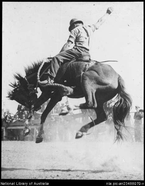 Bronc Riderlooks Like The 1930s Rodeo Cowboys Bronc Riding