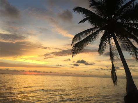 Sunrise 🌅 Punta Cana Dr Sunrise Celestial Chasing The Sun