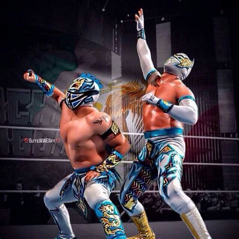 신상우 born december 12, 1987 in seoul) is a south korean professional ice hockey winger. Sin Cara & Kalisto