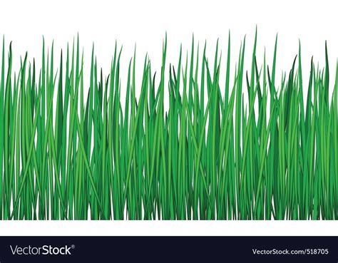 Grass Royalty Free Vector Image Vectorstock