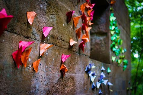 Paper Butterflies Photograph By Jeremy Clinard Fine Art America