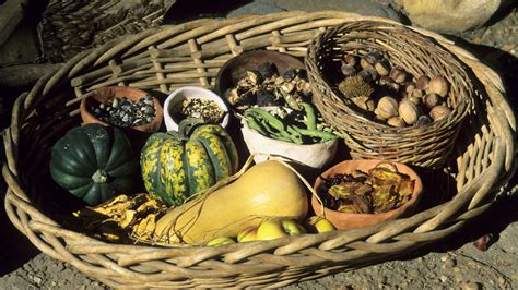 Always speak to your gp or healthcare professional before starting a new dietary regime, and read our guide to the ketogenic diet. Seed Bank Helps Preserve Cherokee Culture Through