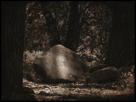 Rock In Woods Photograph By Michael L Kimble Fine Art America