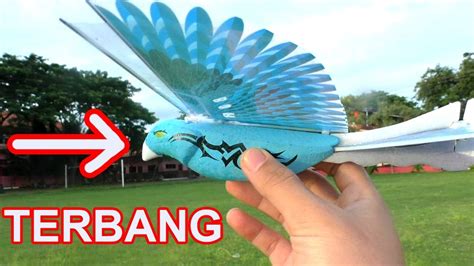 Eksperimen Burung Terbang Melawan Angin Youtube