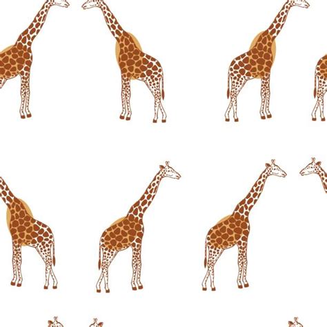 Giraffe Line Art Illustrations Royalty Free Vector Graphics And Clip Art