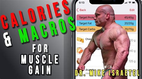 Calories And Macros For Muscle Gain Nutrition For Muscle Gain
