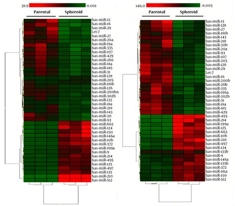differential mirna expression profile in colon cancer stem and non stem download scientific