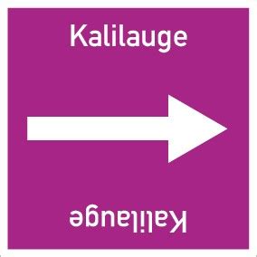 Проверьте 'kalilauge' перевод на испанский. Rohrleitungskennzeichnung viereckig Kalilauge · Aufkleber