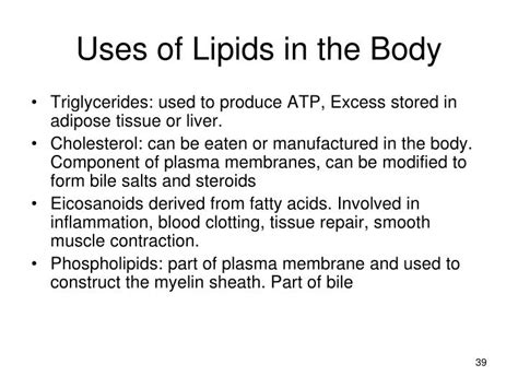 Where Can Where Can Lipids Be Found