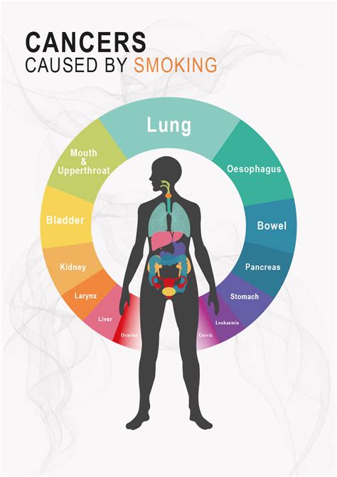 Different Kinds Of Cancer Caused By Smoking Cancerwalls