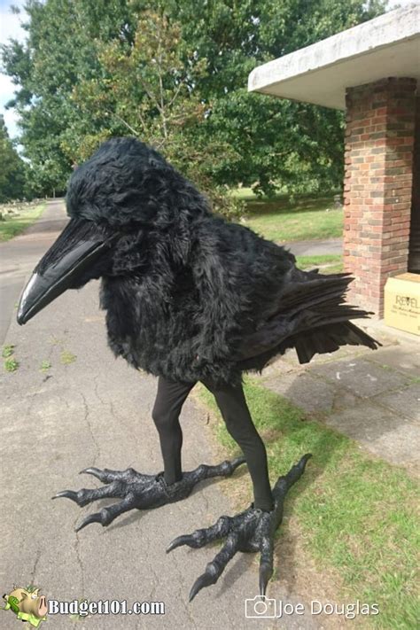 Human Size Crow Costume By Budget101