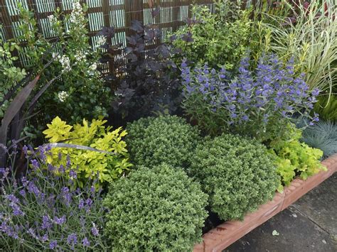 Low Maintenance Plants For Your Garden Garden On A Roll Ltd Front