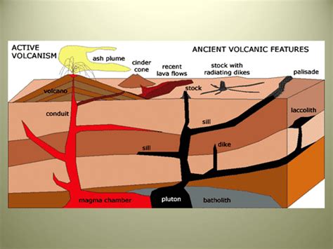 Geoscience Processes Summative Th Period Quizizz 1488 Hot Sex Picture