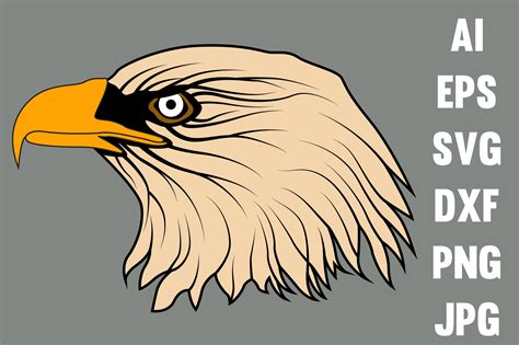 Eagles Head Vector Graphic By Ra Store · Creative Fabrica