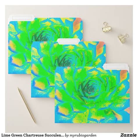 Lime Green Chartreuse Succulent Sedum Rosette File Folder Zazzle Chartreuse Sedum Lime Green