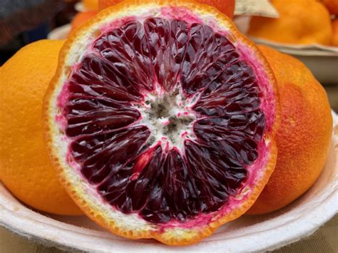 Blood Oranges Health Benefits And Nutrition Healthy Day