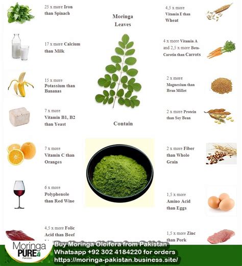 Moringa Nutrition Moringa Leaf Powder Moringa Leaves Moringa Benefits