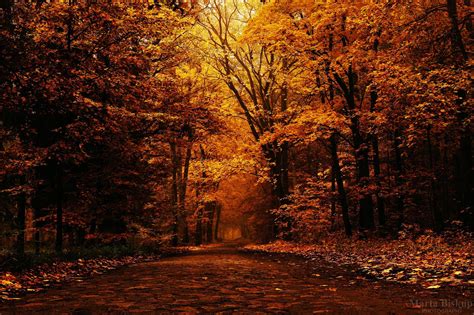 Aesthetic Autumn Wallpapers Wallpaper Cave