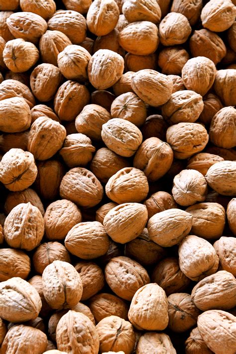 Walnuts Free Stock Photo Public Domain Pictures