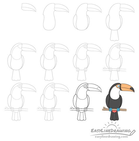How To Draw A Toucan Step By Step Jessica Melo