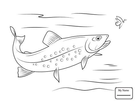 We have collected 40+ rainbow trout coloring page images of various designs for you to color. Trout Drawing at GetDrawings | Free download