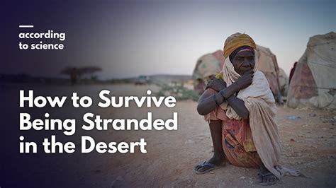 How To Survive Being Stranded In The Desert According To Science Youtube