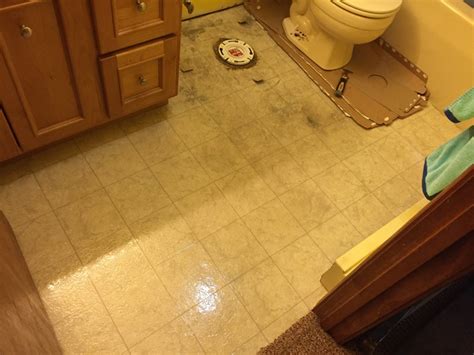 Home Expressions Luxury Vinyl Plank Flooring Installation ...
