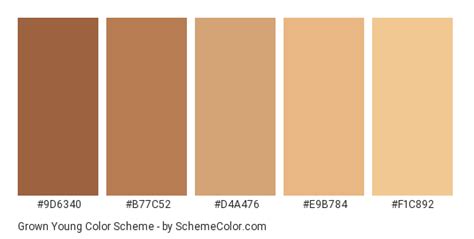 Pin By Keshav Naidu On Omat Värit Brown Color Schemes Skin Color