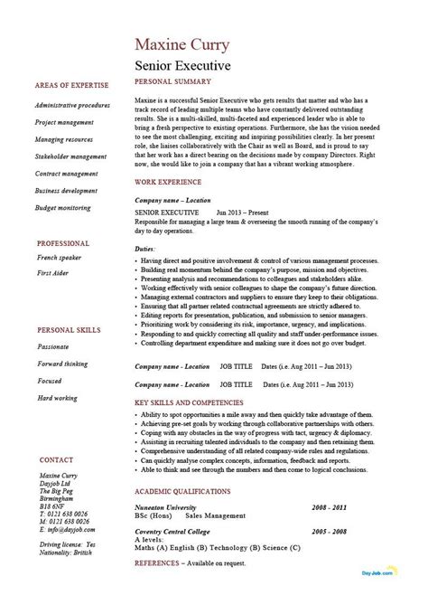 32 Senior Executive Resume Examples For Your Learning Needs