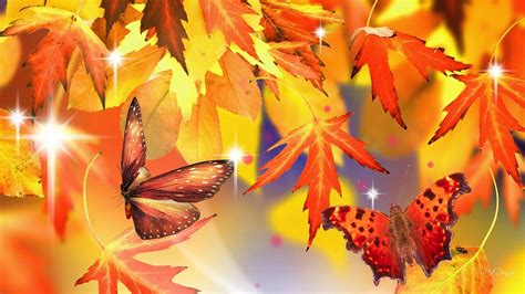 Hd Wide Fall Wallpaper 50 Images