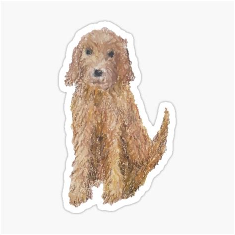 In the last 15 years, poodle mixes, commonly known as doodles, have become a popular choice for many pet parents. Poodle Doodle Keto / Healthy Homemade Dog Food Tasty Low ...