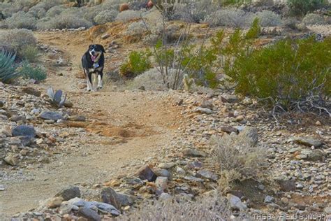 Travel With The Bayfield Bunch Morning Hike In The Yaqui Pass And A