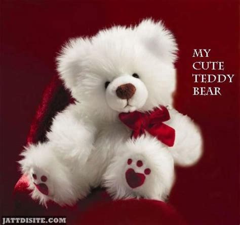 My Cute Teddy Bear