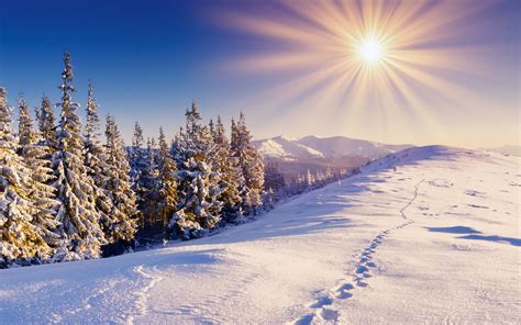 Winter Schnee Wald Wanderwege Berge Himmel Sonne 2560x1600 Hd