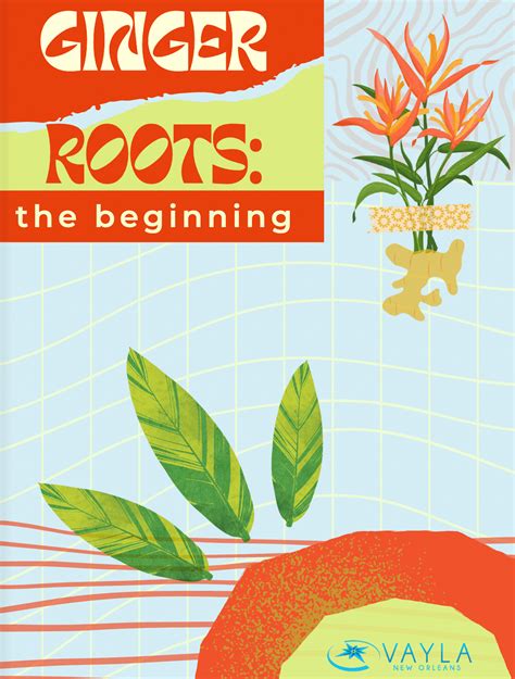 Ginger Roots The Beginning Movement Hub