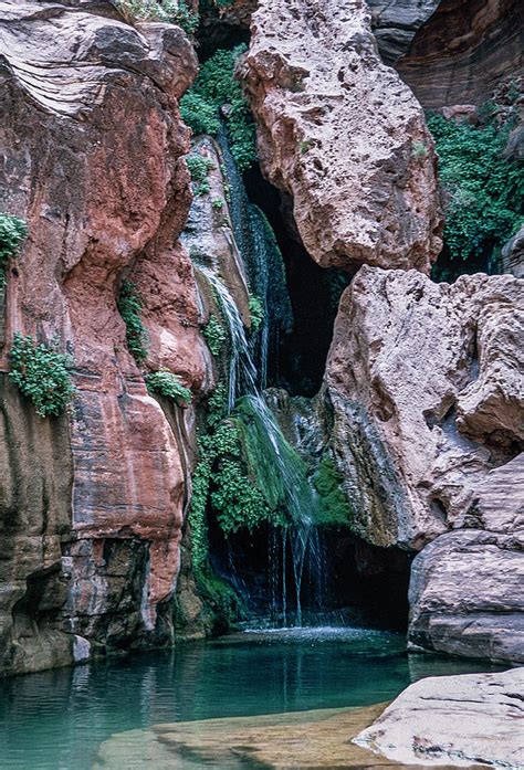 Grand Canyon Oasis Photograph By Alan Toepfer