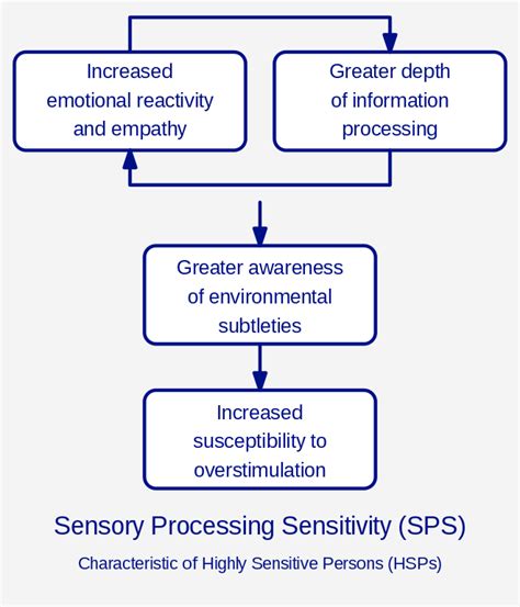 Sensory Processing Sensitivity Wikipedia