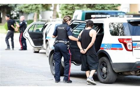 Fight Leads To Arrests Edmonton Journal