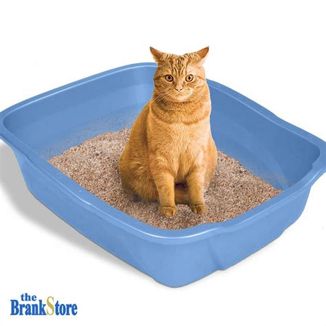 Large Cat Litter Box Big Huge Kitty Pan Pet Toilet Clean