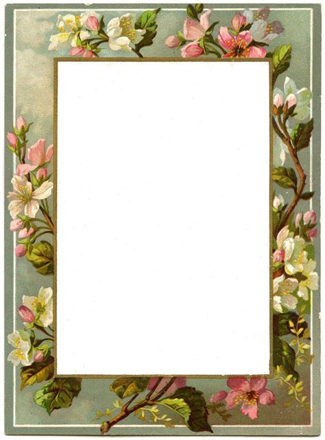 Vintage French Menu Blossom Frame The Graphics Fairy Posters
