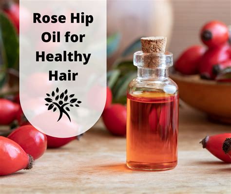 Top Image Rosehip Oil For Hair Thptnganamst Edu Vn