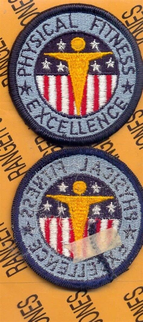 Us Army Physical Fitness Excellence Award Pt Pfe Patch Me
