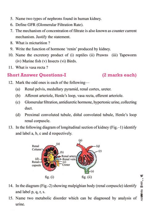 CBSE Notes Class 11 Biology Excretory Products And Their Elimination