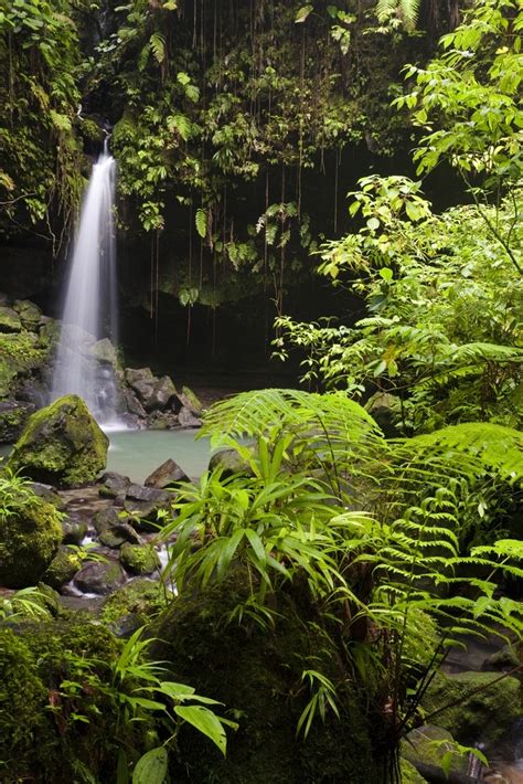 Why Green Season Is Secretly The Best Time To Visit Costa Rica