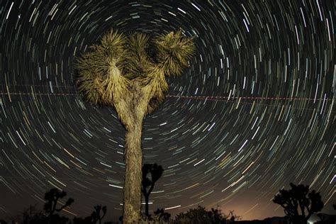 Joshua Tree Astrophotography Milky Way And Perseid Meteor Shower
