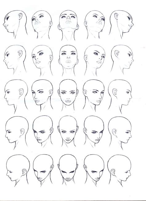 Head Drawing Reference At Explore Collection Of