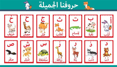 بطاقات فلاش الحروف الابجدية العربية مستقل